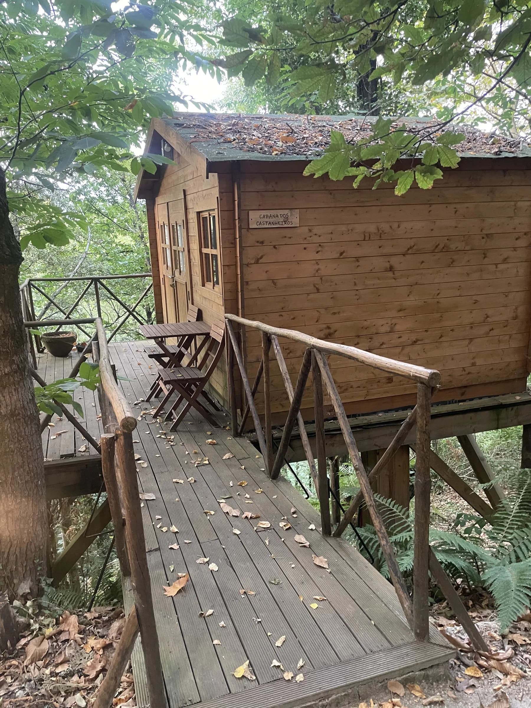 Passadiço e terraço de madeira da cabana