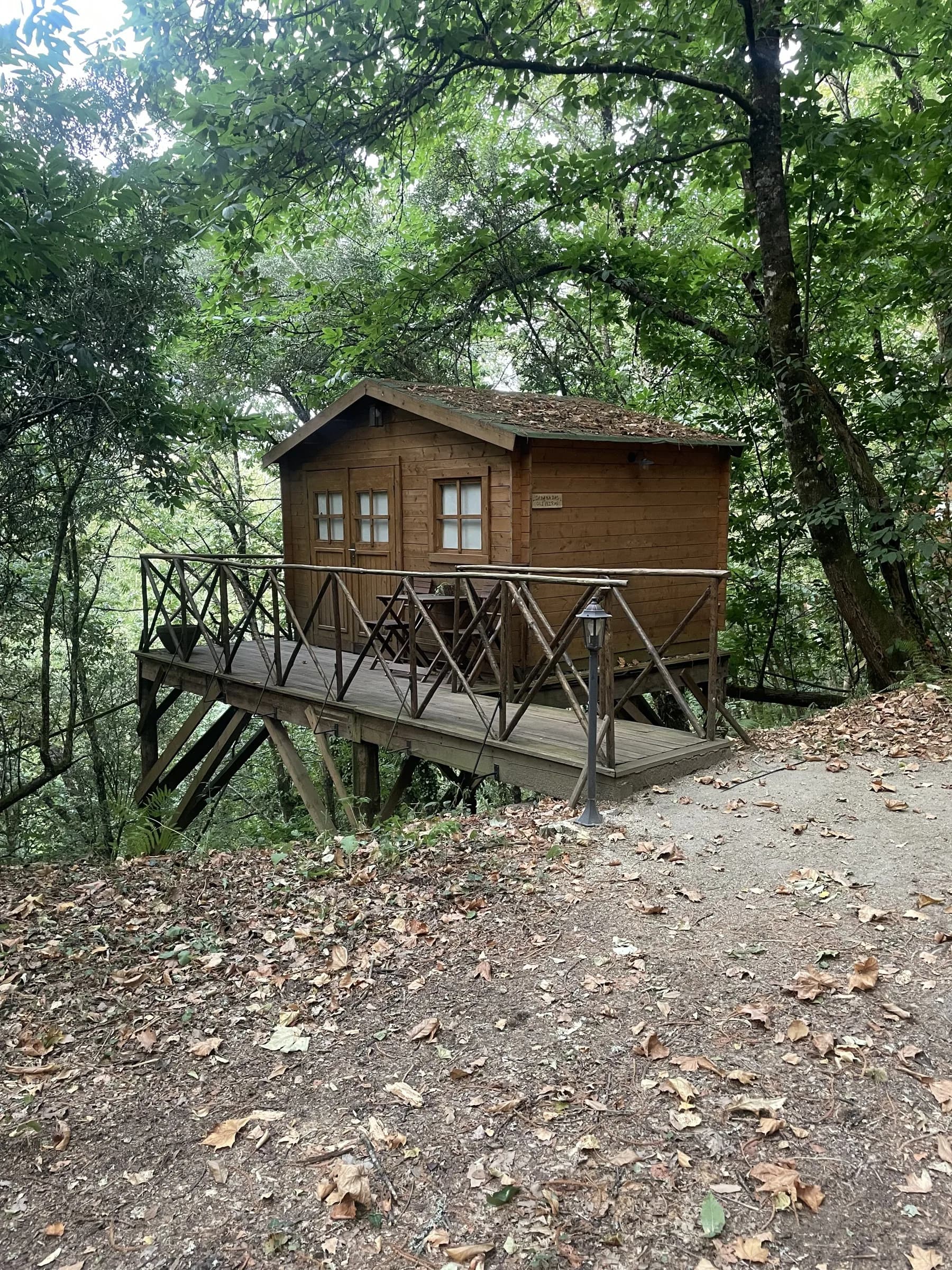 A cabana entre as árvores, vista do caminho