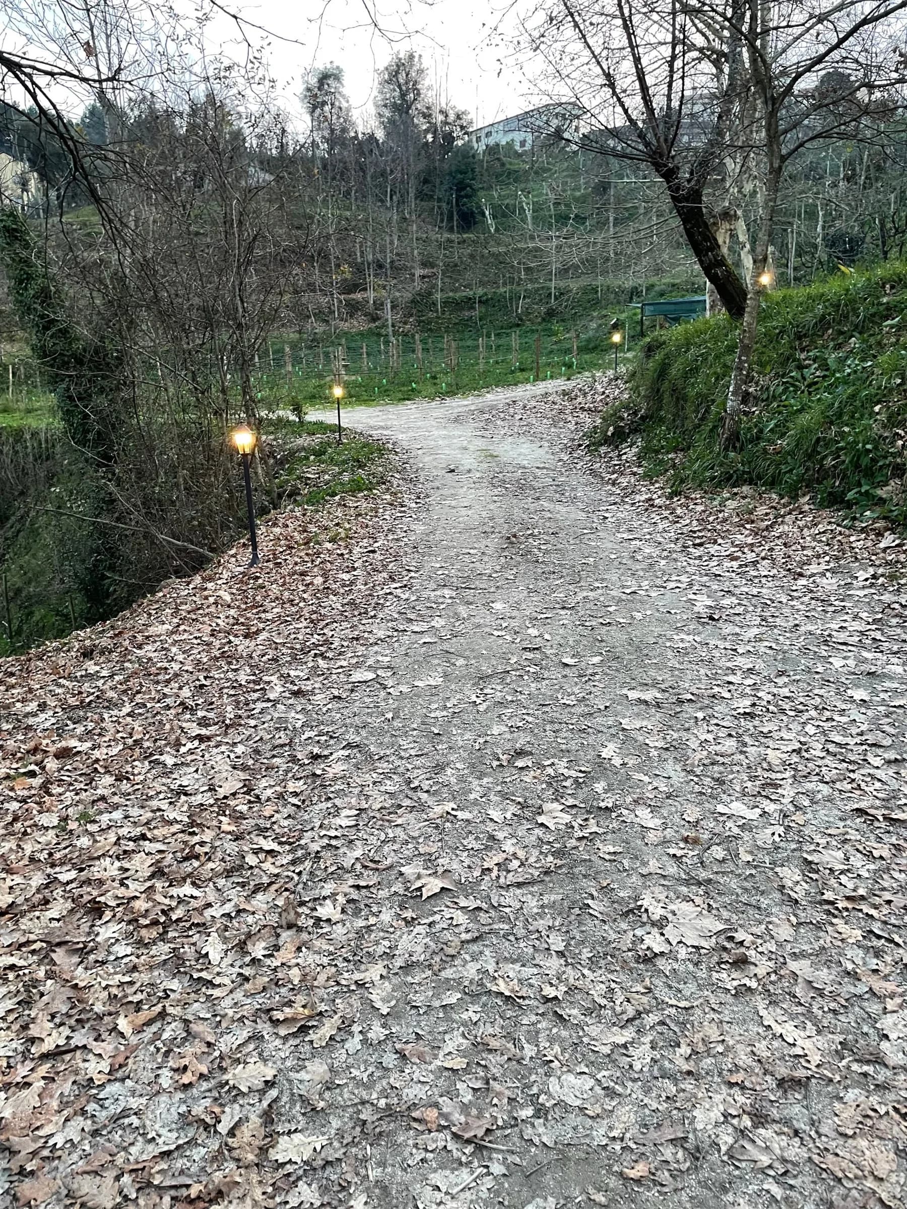 Caminho do bosque iluminado por pequenos candeeiros ao entardecer